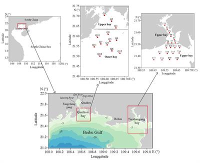 Comparative Study of Nitrogen Cycling Between a Bay With Riverine Input and a Bay Without Riverine Input, Inferred From Stable Isotopes